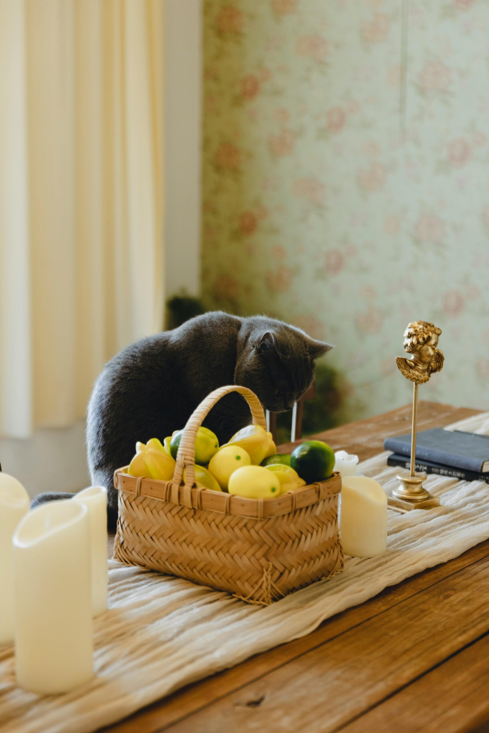 pexels photo 34244674